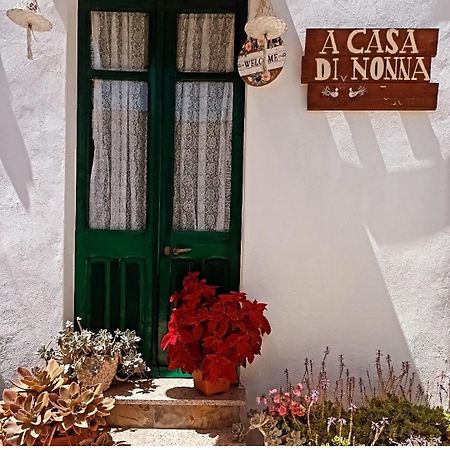 فيلا A Casa Di Nonna Iun Q2951 فلومينيماجيوري المظهر الخارجي الصورة